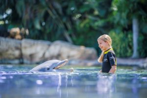 Child with Dolphin at attraction in Orlando Florida
